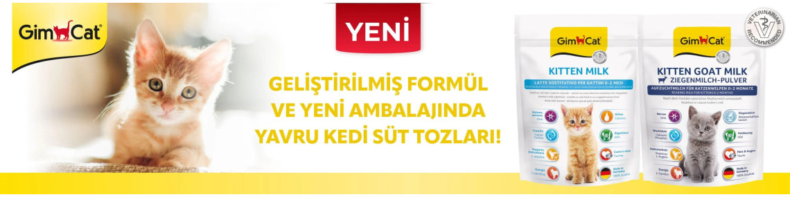 GimCat