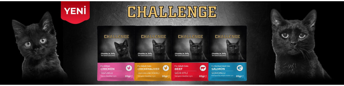 Challenge