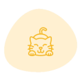 Kedi